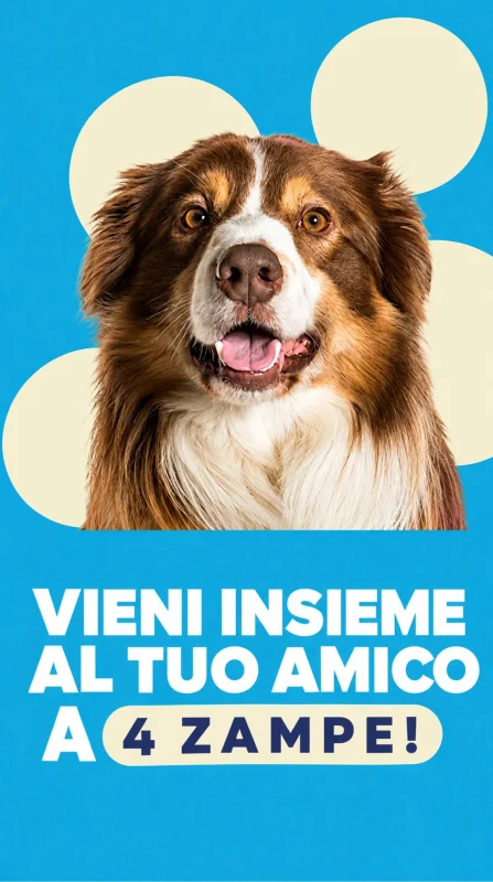 Vieni insieme al tuo amico a 4 zampe!